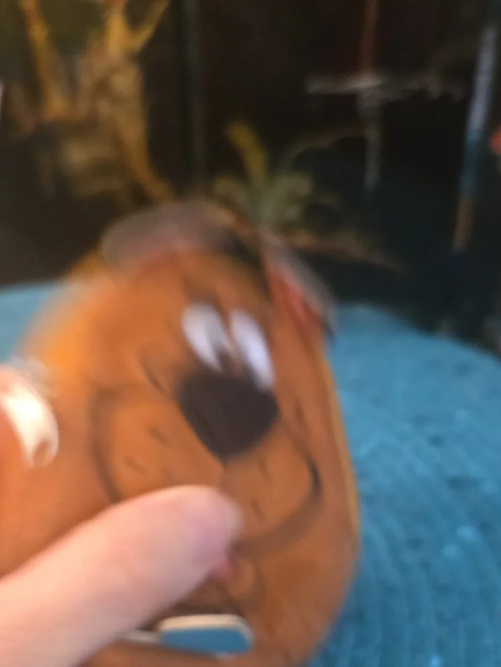 Scooby-Doo Kids Brown Plush Coin Pouch with Zip